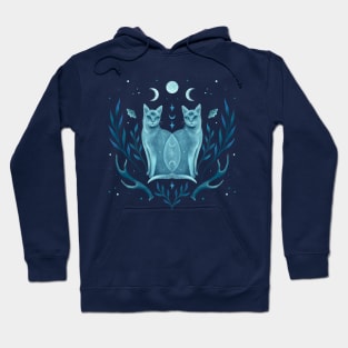 Symmetrical Two Cats Hoodie